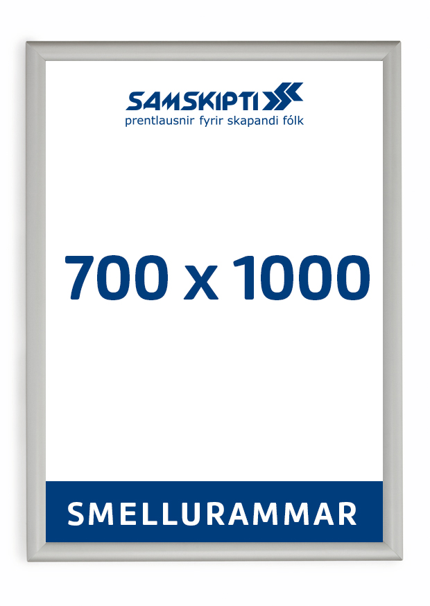 Smellurammi 500 x 1000 mm . 25 mm prófíll